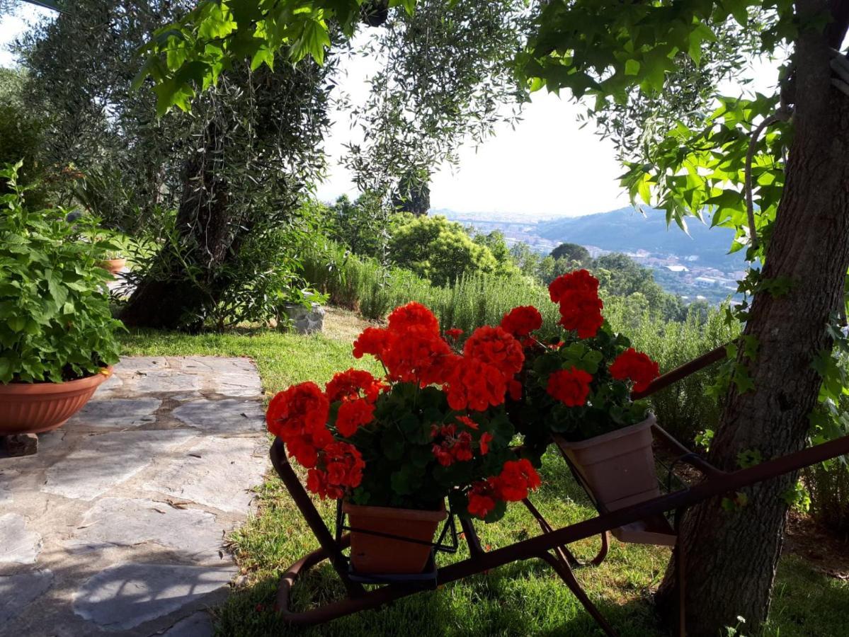 La Gatta Sul Sentiero Bed & Breakfast San Salvatore  Exterior foto