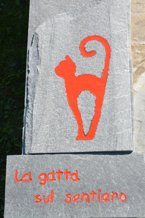 La Gatta Sul Sentiero Bed & Breakfast San Salvatore  Exterior foto