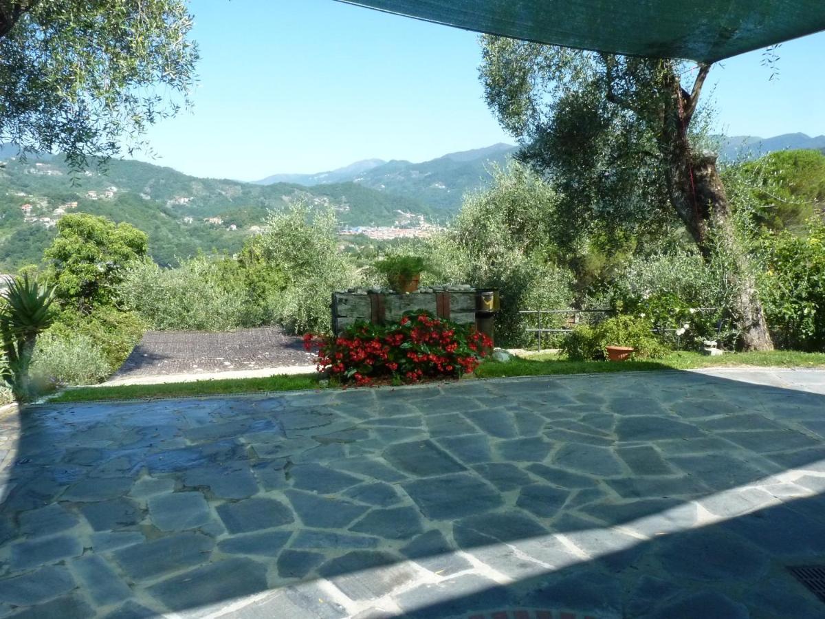 La Gatta Sul Sentiero Bed & Breakfast San Salvatore  Exterior foto