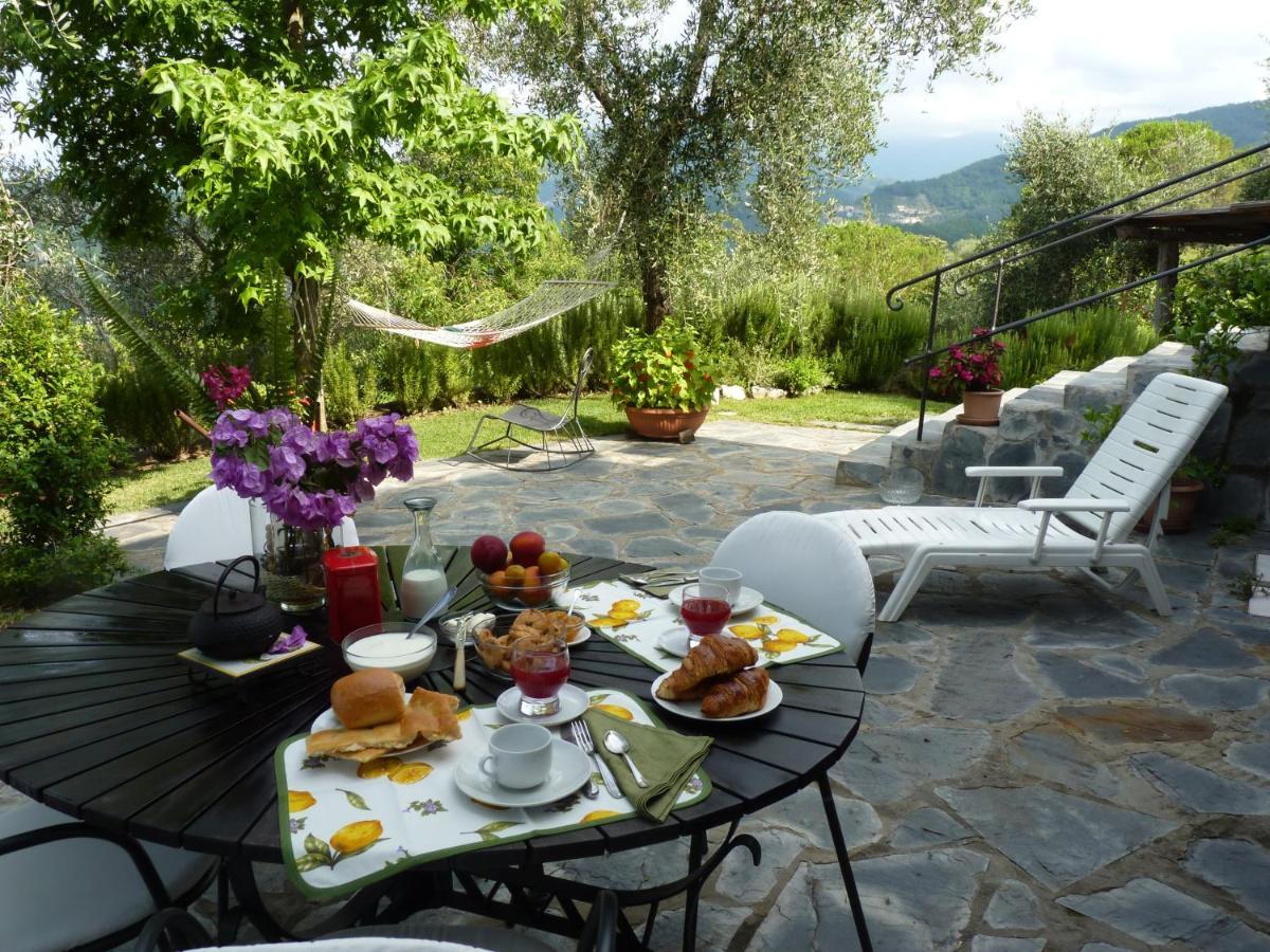 La Gatta Sul Sentiero Bed & Breakfast San Salvatore  Exterior foto