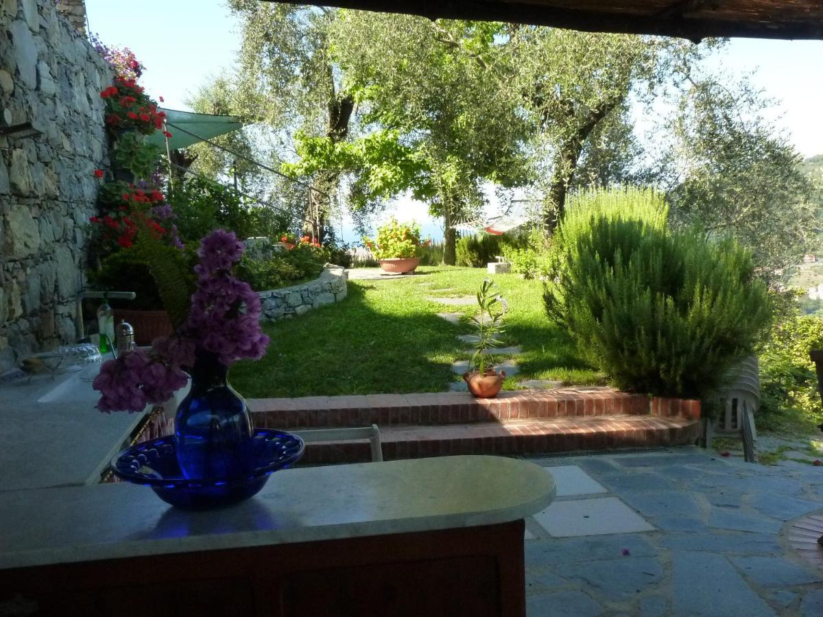 La Gatta Sul Sentiero Bed & Breakfast San Salvatore  Exterior foto
