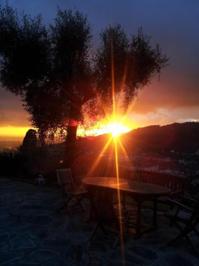 La Gatta Sul Sentiero Bed & Breakfast San Salvatore  Exterior foto