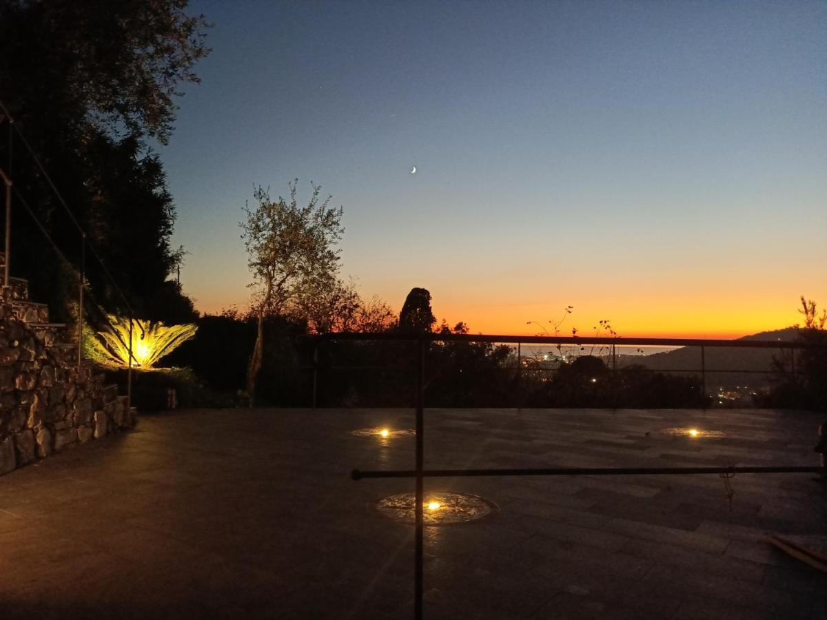 La Gatta Sul Sentiero Bed & Breakfast San Salvatore  Exterior foto