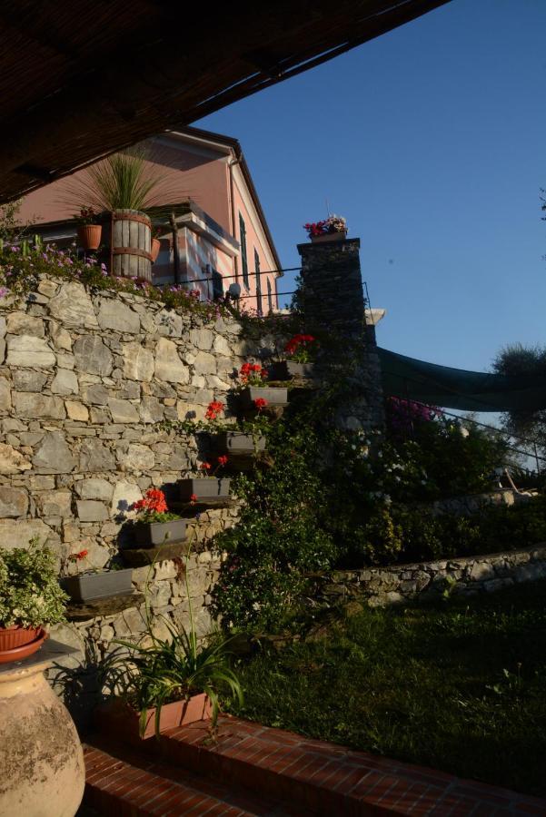 La Gatta Sul Sentiero Bed & Breakfast San Salvatore  Exterior foto