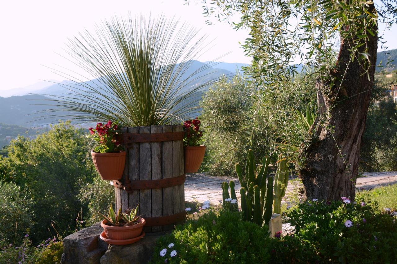 La Gatta Sul Sentiero Bed & Breakfast San Salvatore  Exterior foto