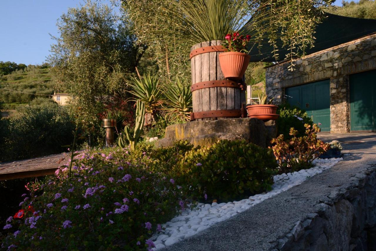 La Gatta Sul Sentiero Bed & Breakfast San Salvatore  Exterior foto
